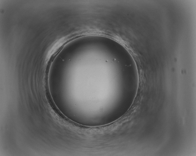 X0000074940007200609081402