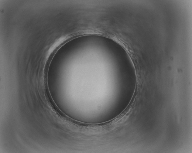 X0000074940008200609081402