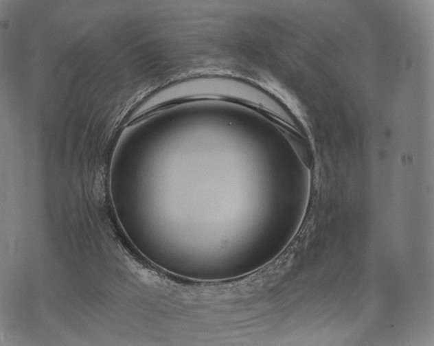 X0000074940009200609081402