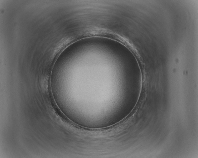 X0000074940010200609081402