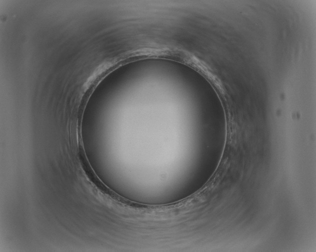 X0000074940011200609081402