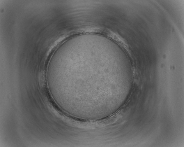 X0000074940012200609081402