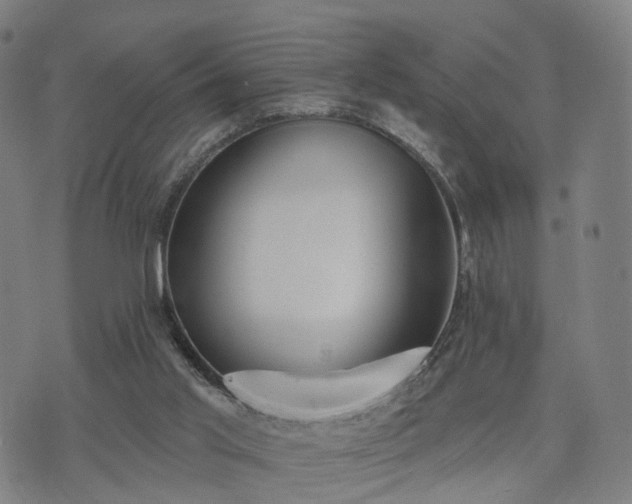 X0000074940013200609081402