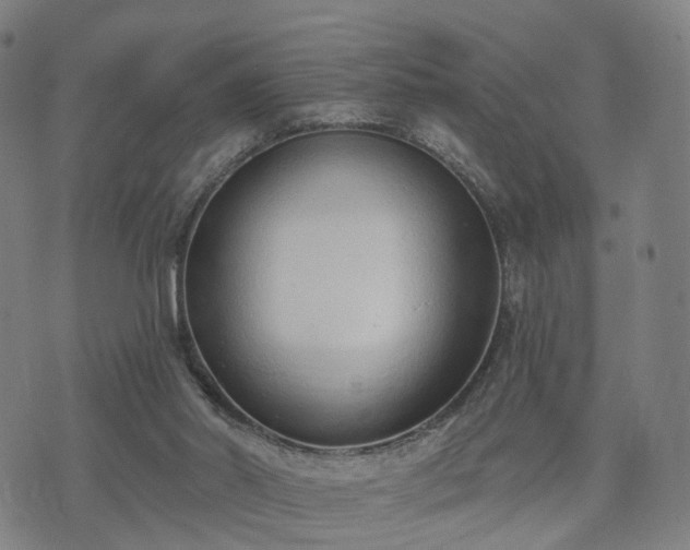 X0000074940014200609081402