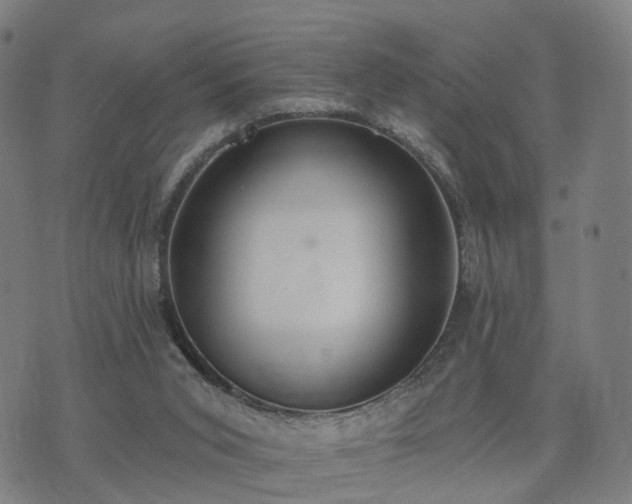 X0000074940015200609081402