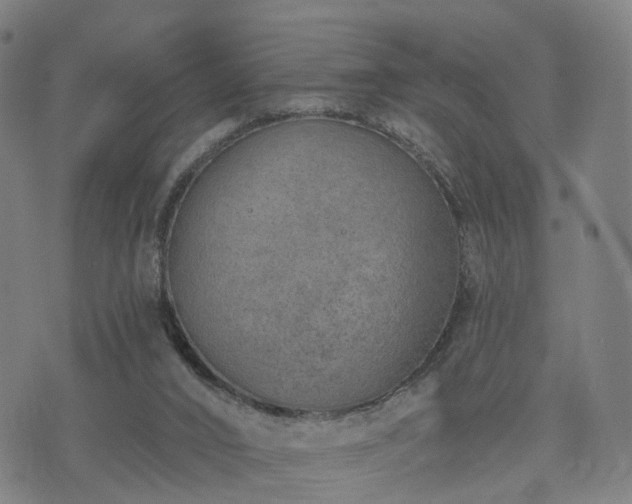 X0000074940016200609081402