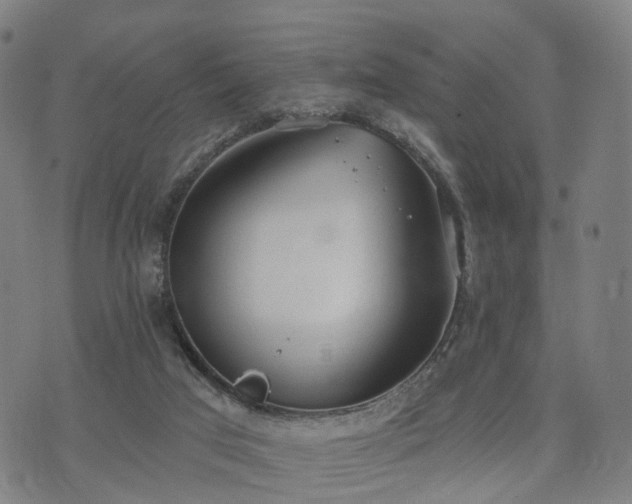 X0000074940017200609081402