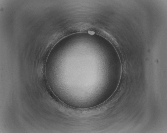 X0000074940018200609081402