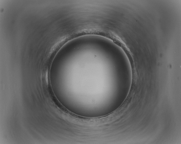 X0000074940019200609081402