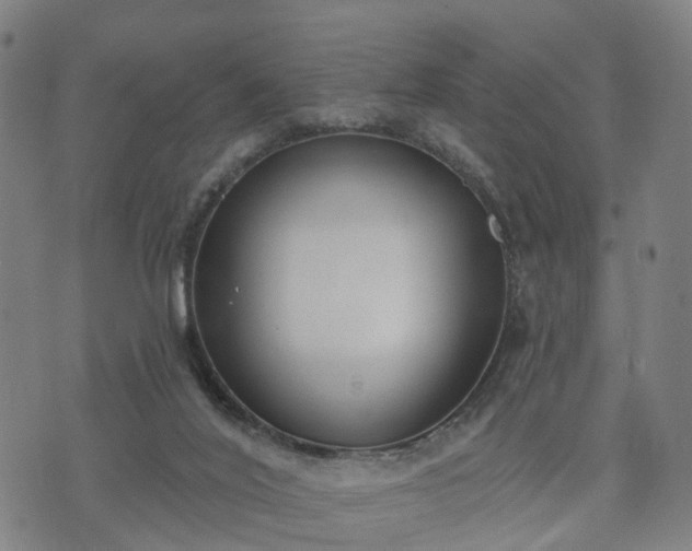 X0000074940020200609081402