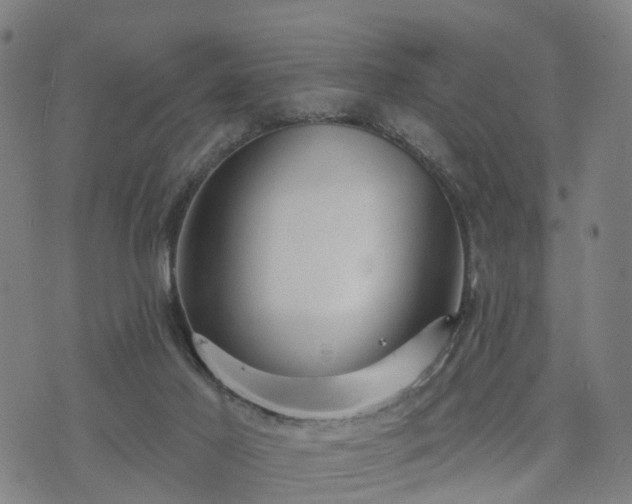 X0000074940021200609081402