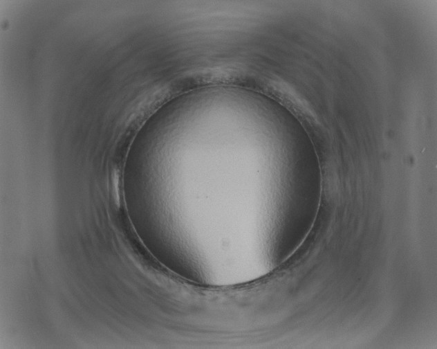 X0000074940022200609081402