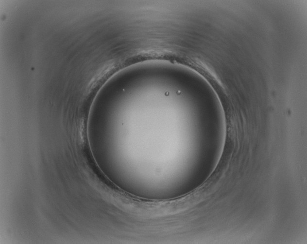 X0000074940023200609081402