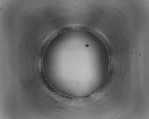 X0000074940024200609081402