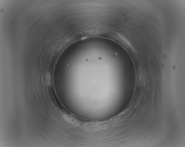 X0000074940025200609081402