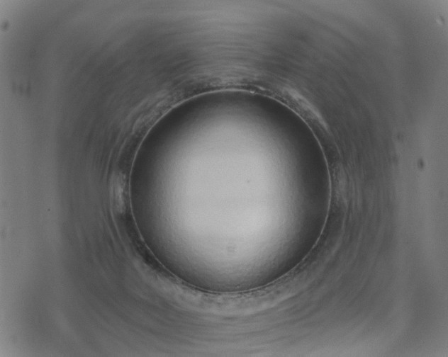 X0000074940026200609081402