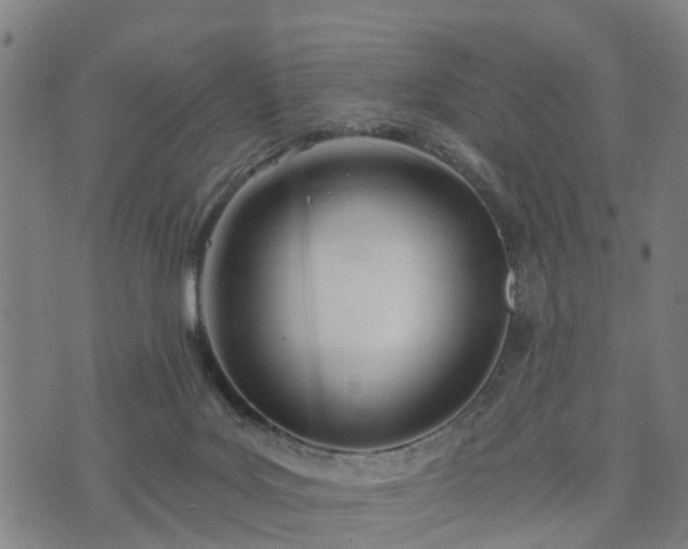 X0000074940027200609081402