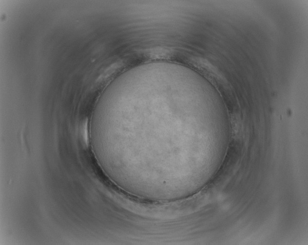 X0000074940028200609081402