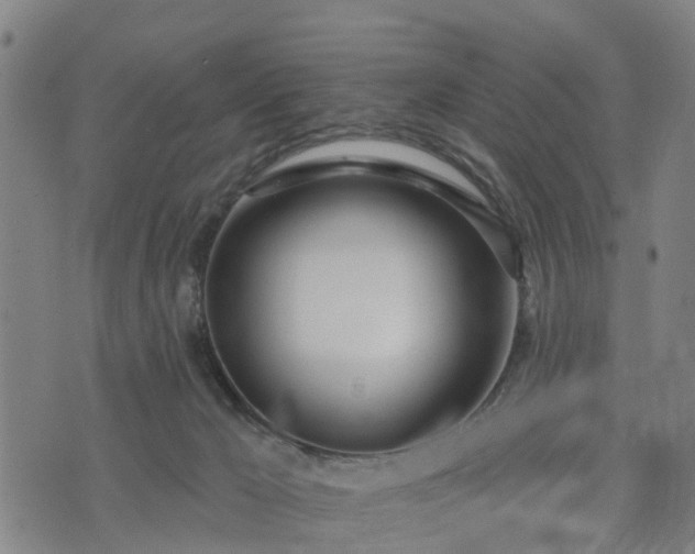 X0000074940029200609081402