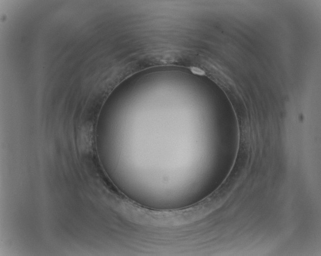 X0000074940030200609081402