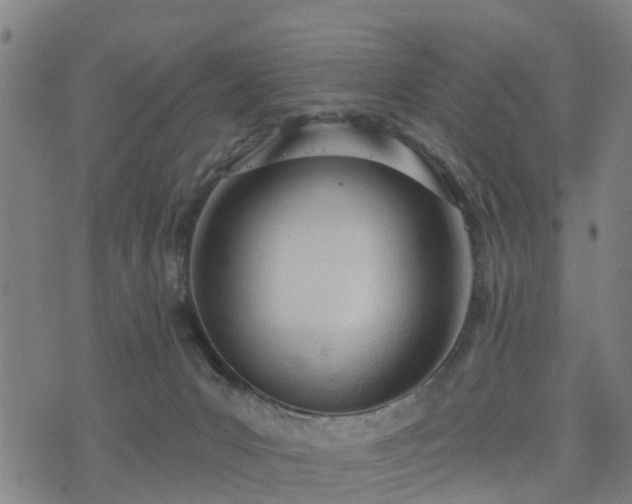 X0000074940031200609081402