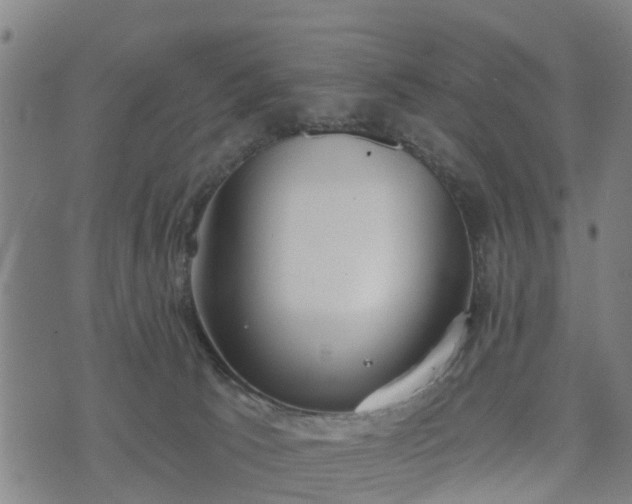 X0000074940033200609081402