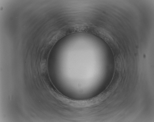 X0000074940034200609081402