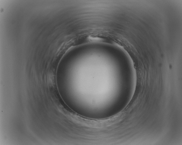 X0000074940035200609081402