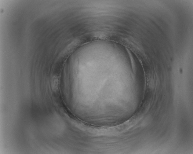 X0000074940036200609081402