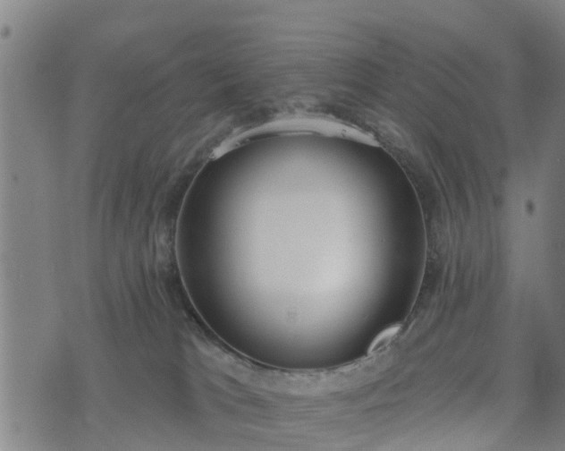 X0000074940037200609081402