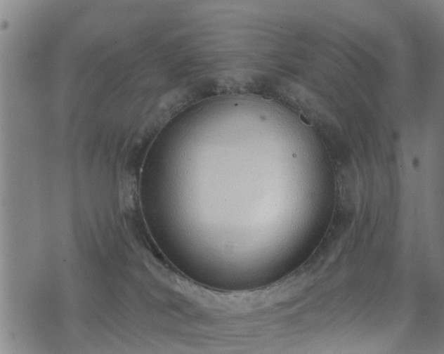 X0000074940038200609081402