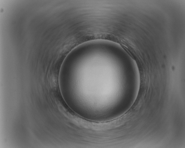 X0000074940039200609081402