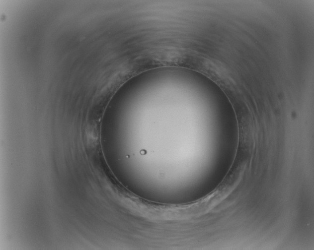 X0000074940040200609081402