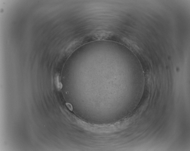 X0000074940042200609081402