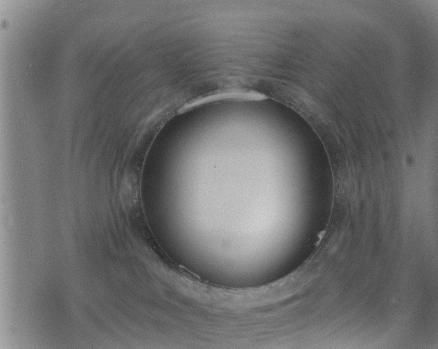 X0000074940043200609081402