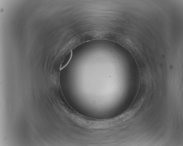 X0000074940044200609081402