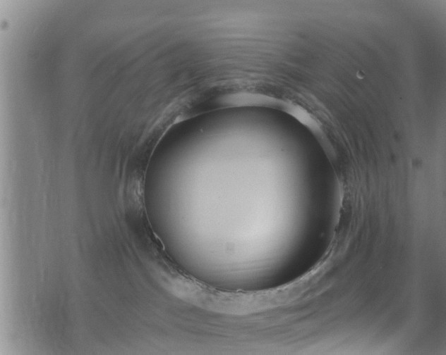 X0000074940045200609081402