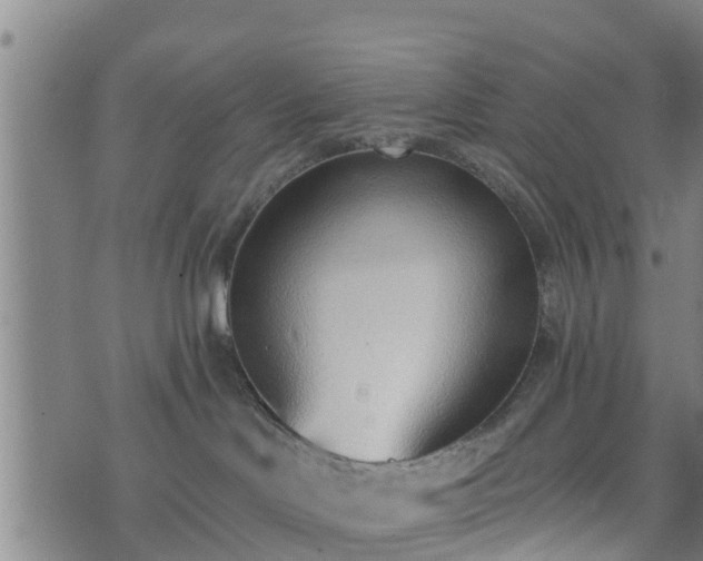 X0000074940046200609081402