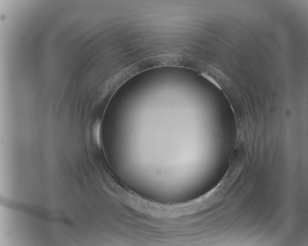 X0000074940047200609081402