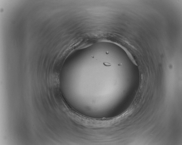 X0000074940048200609081402