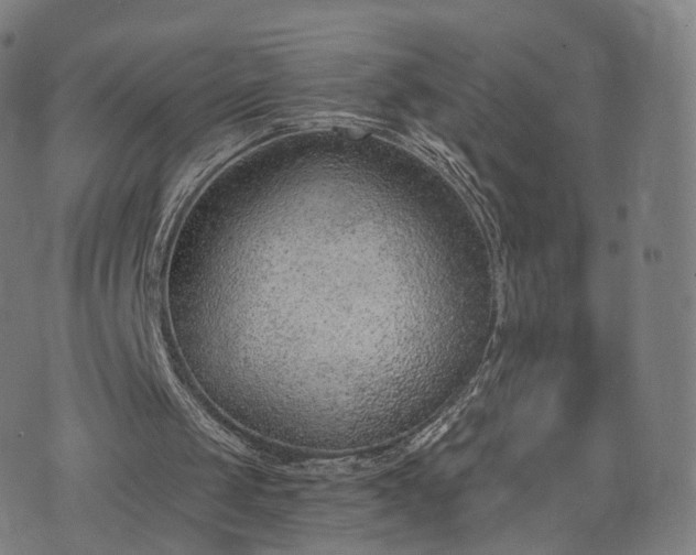 X0000074940049200609081401