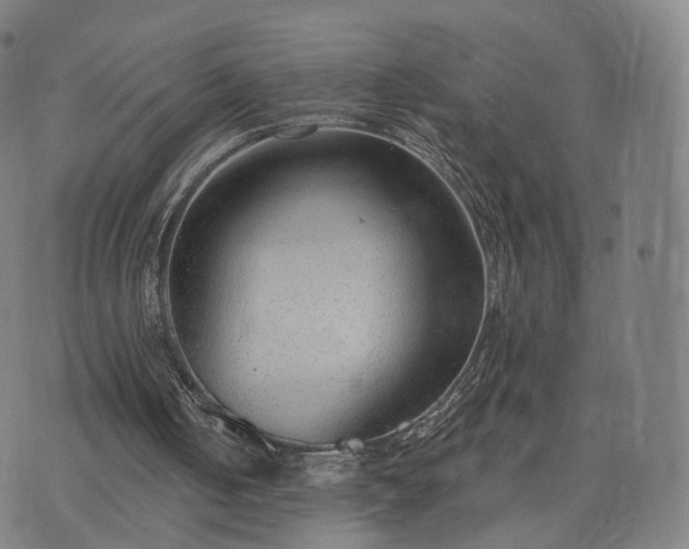 X0000074940050200609081401