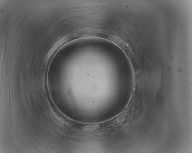 X0000074940051200609081401