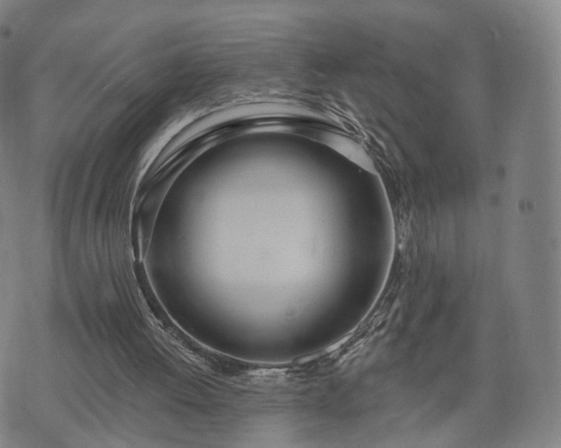 X0000074940052200609081401