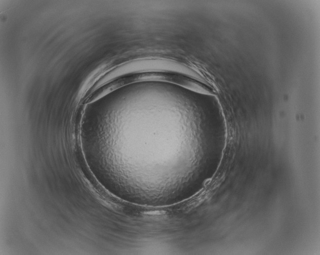 X0000074940053200609081401