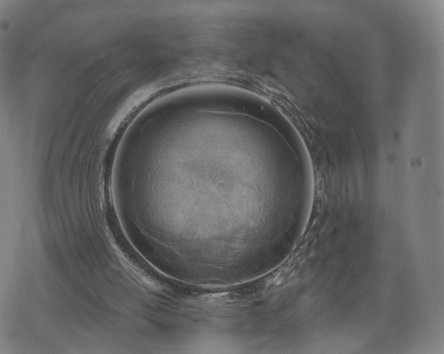 X0000074940054200609081401