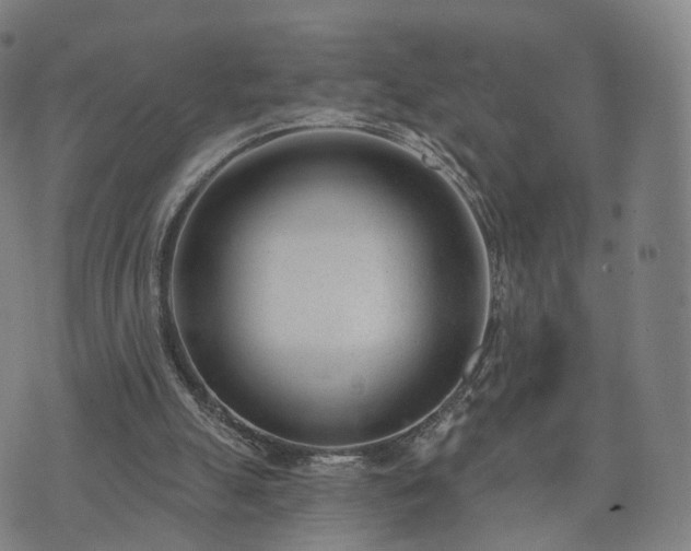 X0000074940055200609081401