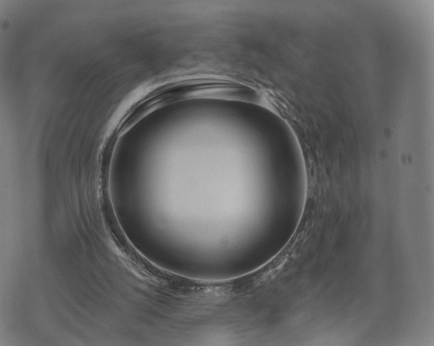 X0000074940056200609081401