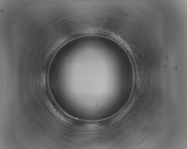 X0000074940057200609081401