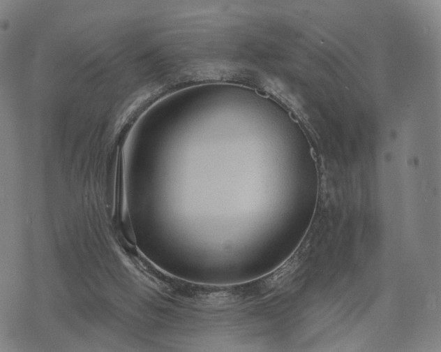 X0000074940058200609081401